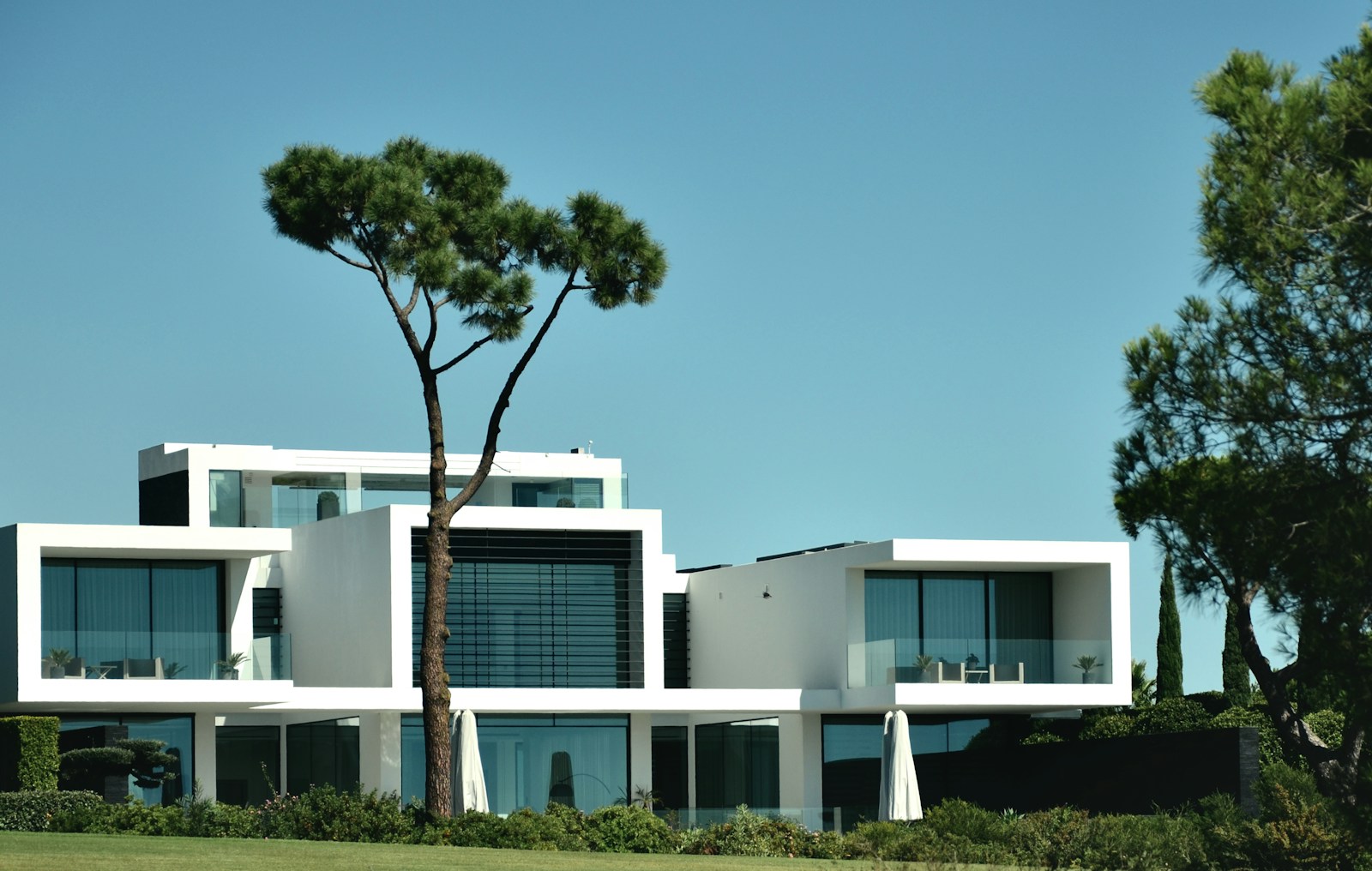 a large white building with a tree in front of it